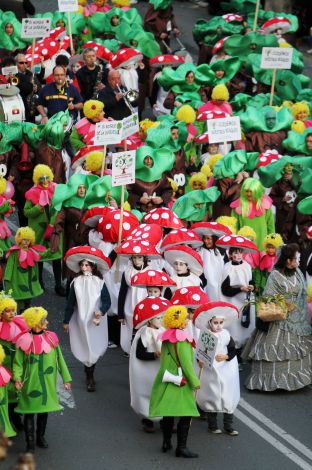 Imgenes del Carnaval  en La Rioja-4